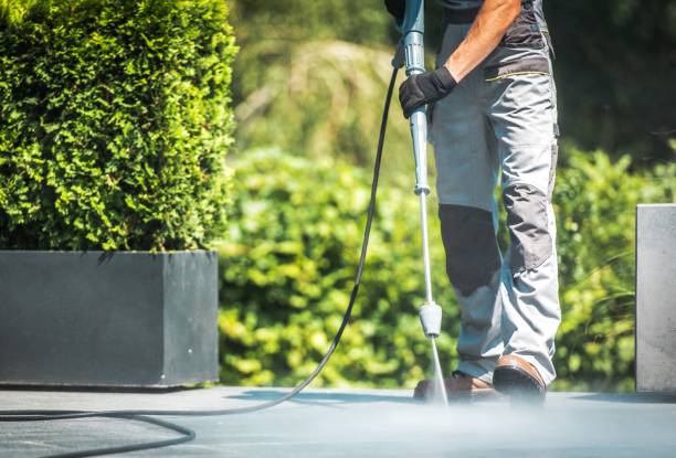 Best Roof Cleaning and Mildew Removal in St Louis, MO