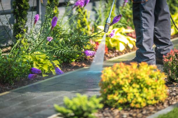  St Louis, MO Pressure Washing Pros
